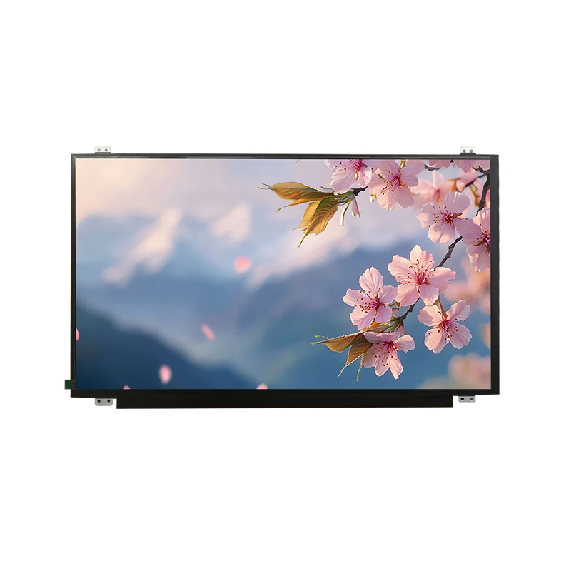 15.6 'HD Wide Temp IPS TFT LCD экран модулі