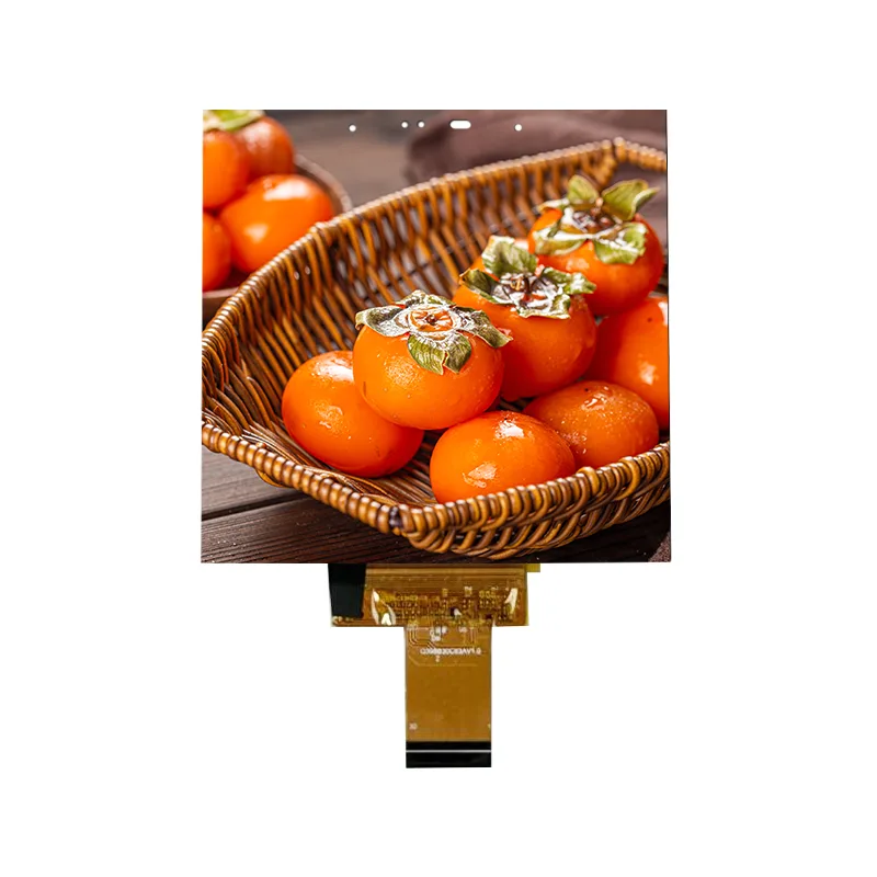 3,95 дюймді кішігірім Smart Home үшін ұялы сенсорлық экран модулі 3,95 дюймді кішігірім Smart Home үшін ұялы сенсорлық экран модулі